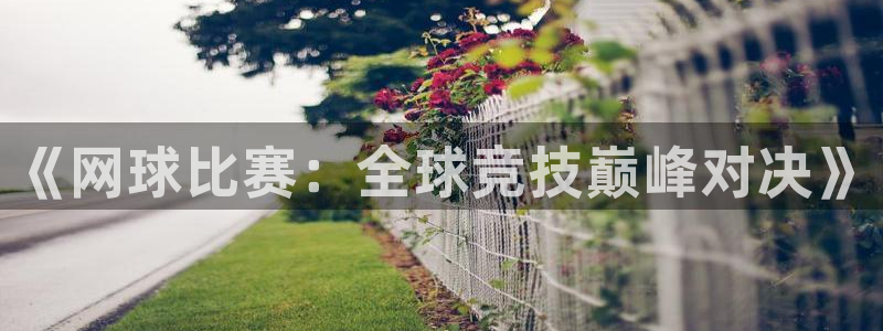 意昂4招商：《网球比赛：全球竞技巅峰对决》