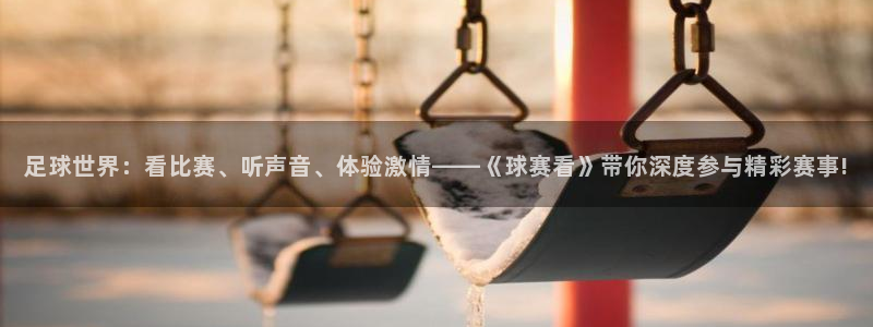 意昂4主管：足球世界：看比赛、听声音、体验激情——《球赛看》