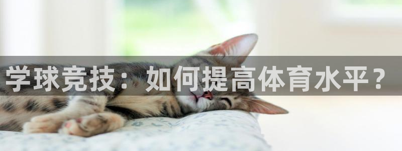 意昂4官网：学球竞技：如何提高体育水平？