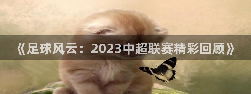 凯捷足球俱乐部：《足球风云：2023中超联赛精彩回顾》