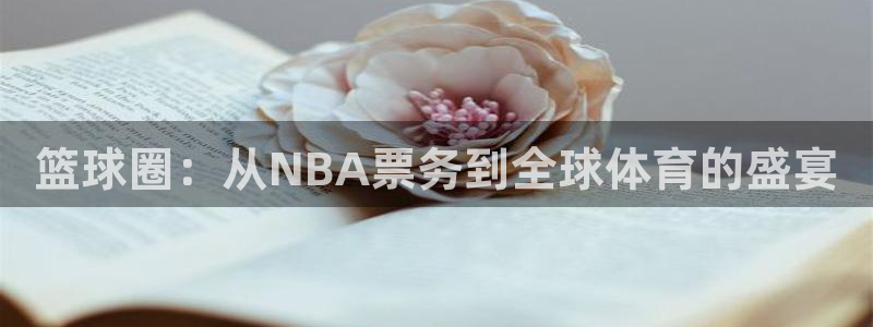 意昂4官网入口：篮球圈：从NBA票务到全球体育的盛宴