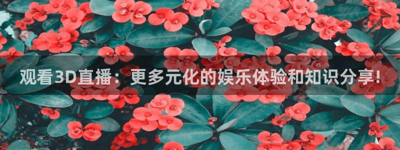 飞速直播体育在线观看：观看3D直播：更多元化的娱乐体验和知识分享!