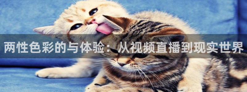 飞速直播nba免费观看：两性色彩的与体验：从视频直播到现实世界