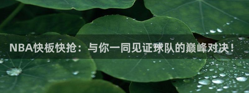 飞速直播体育无插件：NBA快板快抢：与你一同见证球队的巅峰对决！