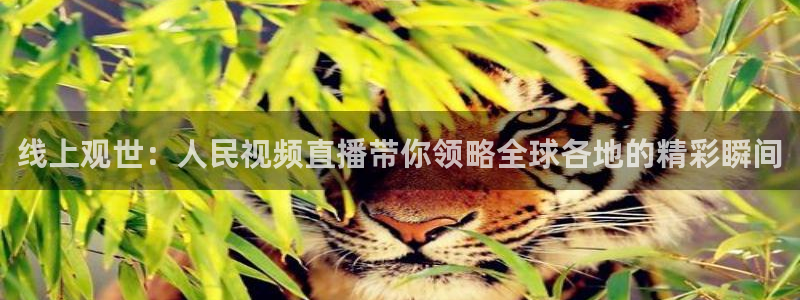 飞速体育在线直播：线上观世：人民视频直播带你领略全球各地的精彩瞬间