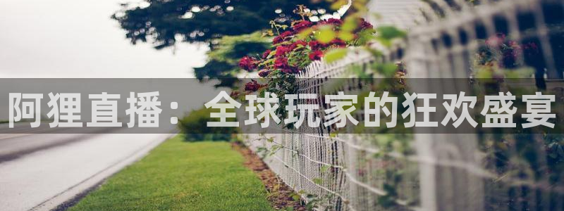 飞速直播体育直播：阿狸直播：全球玩家的狂欢盛宴