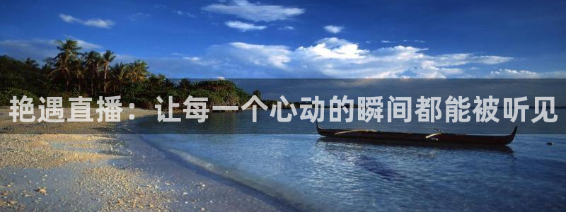 飞速直播体育篮球